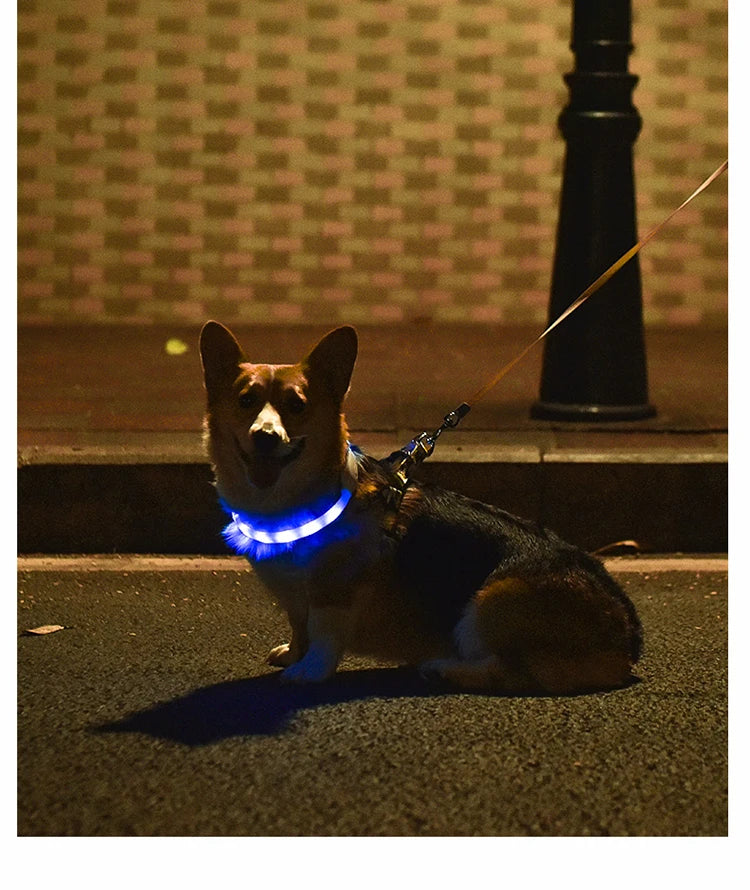 Dog Collar LED Light USB Discoloration Luminous Collar Perro Luz Led Dog Collar Flashing Rechargeable Glowing Collar For Dog Pet