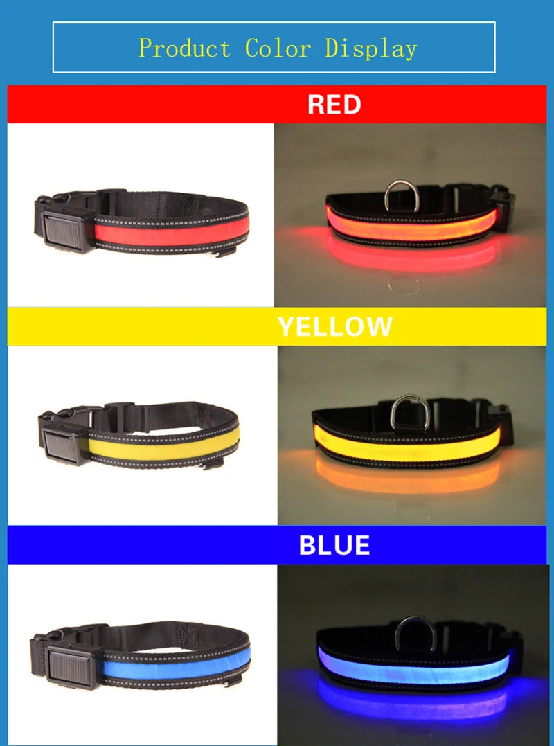 Solar Charging Led Dog Collar USB Rechargeable Night Safety Collar Perro Led Usb Adjustable Pet Led Dog Collar Light Usb Glowing