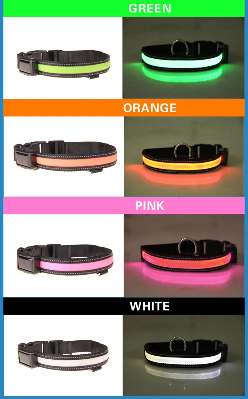 Solar Charging Led Dog Collar USB Rechargeable Night Safety Collar Perro Led Usb Adjustable Pet Led Dog Collar Light Usb Glowing