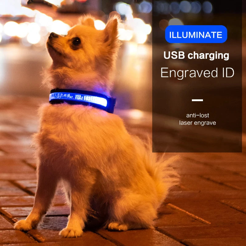 Engraved ID LED Dog Collar Luminous USB Custom Dog Tag Personalized Nylon Pet Dog Collar Led USB Light Night Safety Collar Perro