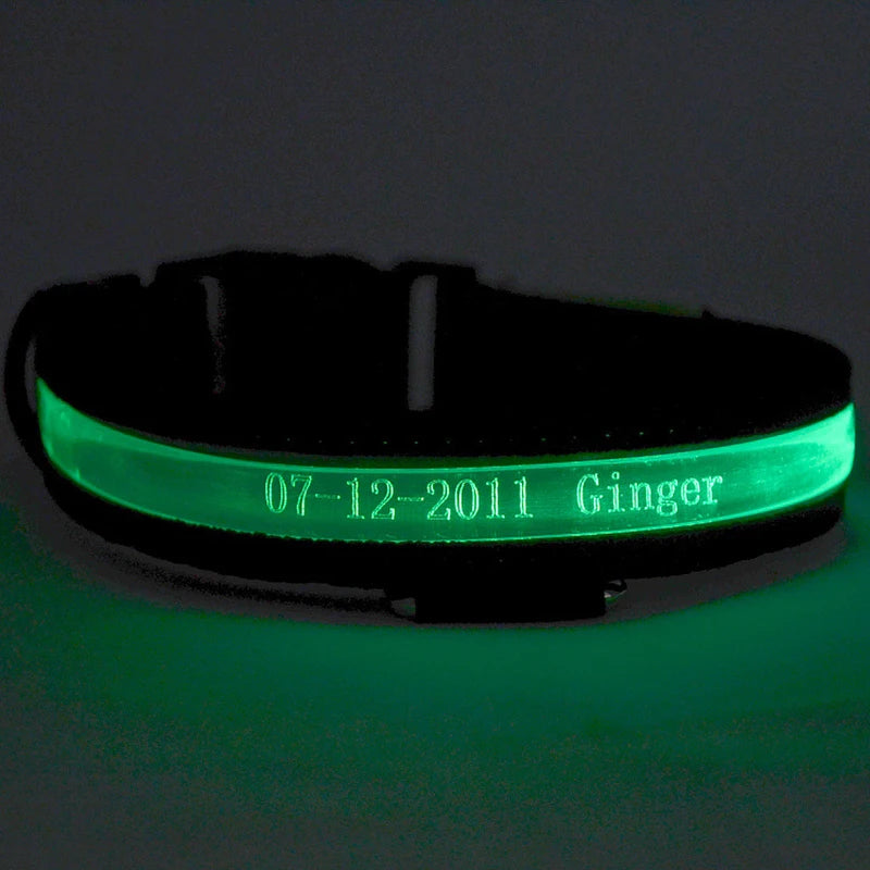 Engraved ID LED Dog Collar Luminous USB Custom Dog Tag Personalized Nylon Pet Dog Collar Led USB Light Night Safety Collar Perro