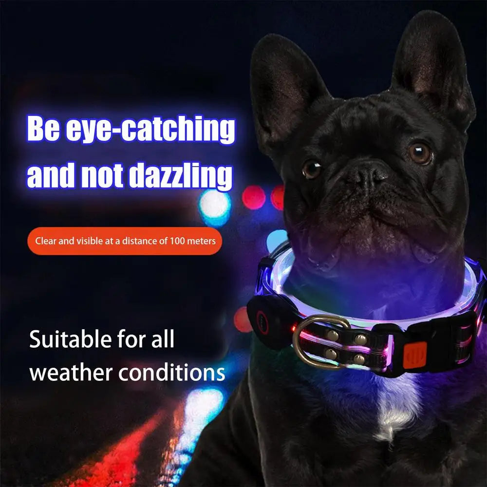 Dog Led Light Up Collar Rechargeable Waterproof Glowing Adjustable Dog Collar Weather Proof Dog Lights For Night Walking