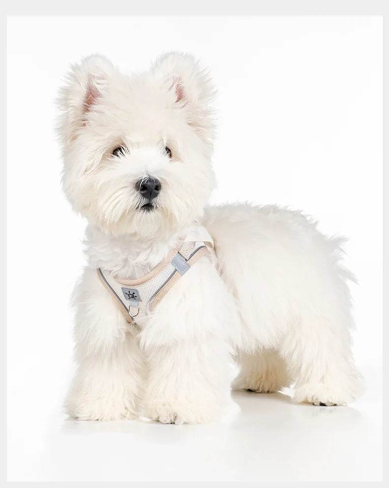 Dog Harness with Mood Patches–Reflective No-Pull Vest, Breathable Air Mesh for Small Dogs Adjustable Soft Padded Walking Lead
