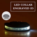Dog Collars Personalized With Name/Phone Prevent Loss LED Night Safety Necklace Pet Collar Dog Small Puppy Cat Collar Para Perro