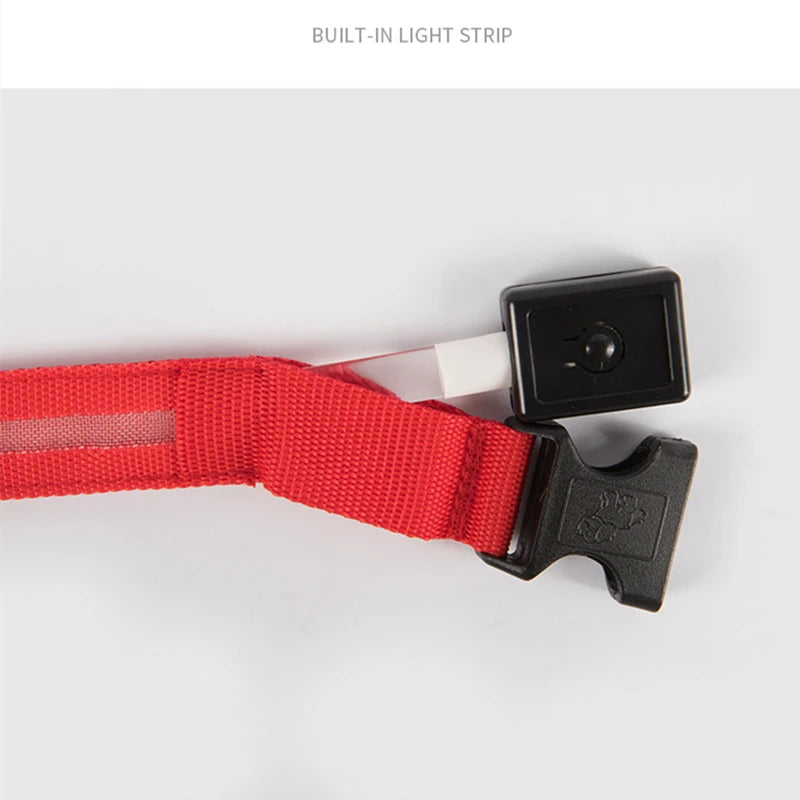 LED Luminous Collar Adjustable Glowing Dog Collar USB Rechargea  Flashing Anti-Lost/Avoid Car Accident Collar Dogs Pet Products