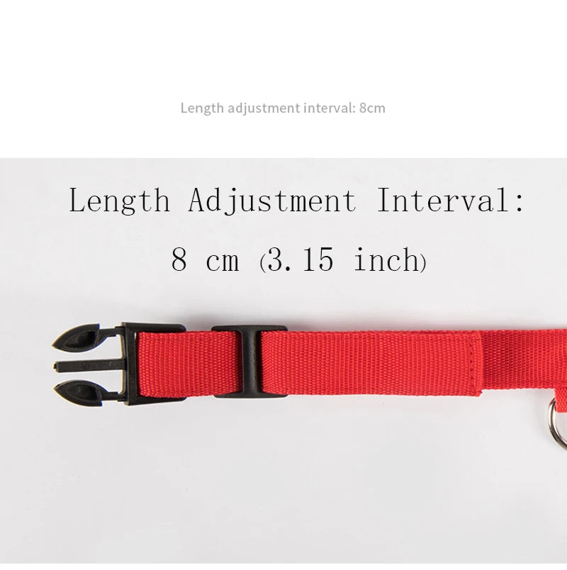 Dog Collar LED Light Electronic Night Safety Anti-Lost Nylon Adjustable Luminous Glowing Collar For Dogs Cats Pet Products Xs-XL