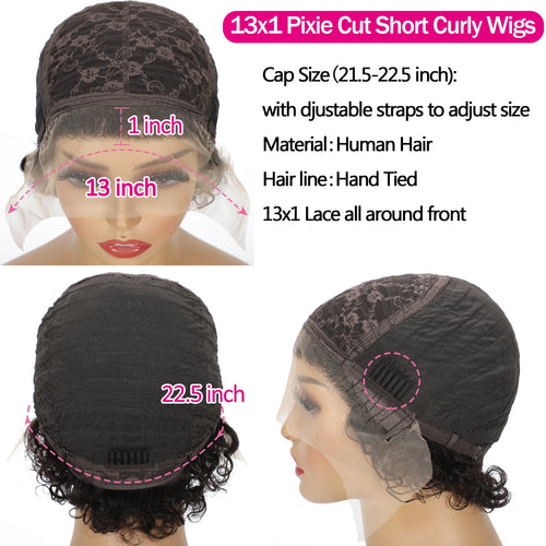 13x1 Transparent Lace Front Wigs Pixie Cut Wig Human Hair Brazilian Remy 100% Human Hair Short Curly Human Hair Wig