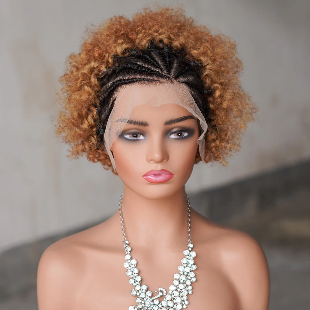 Afro Curly Wigs Colorful Human Hair Wigs with Braids 13×4 Lace Front Wig Remy Human Hair Wig for Women