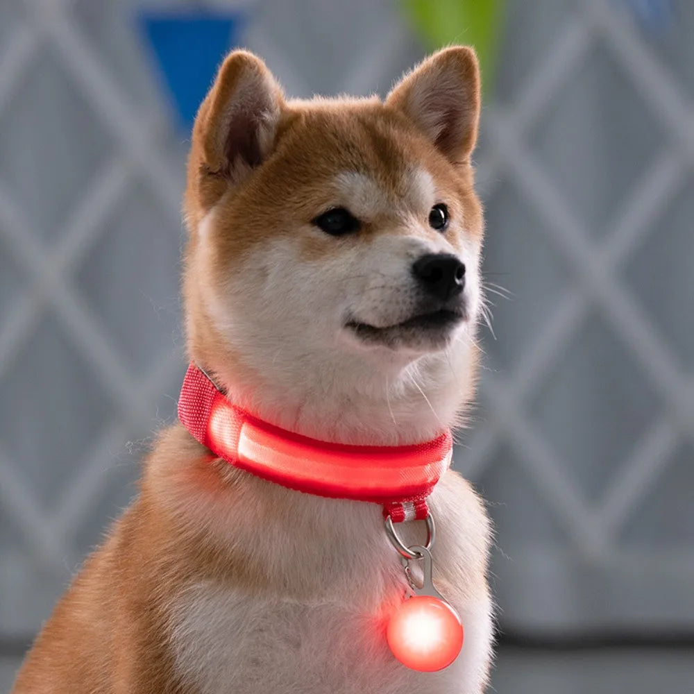 Usb Charging Glowing Dog Collar With Pendant Detachable Luxury Led Light Bright For Small Dogs Cat Night Safety Collar Wholesale
