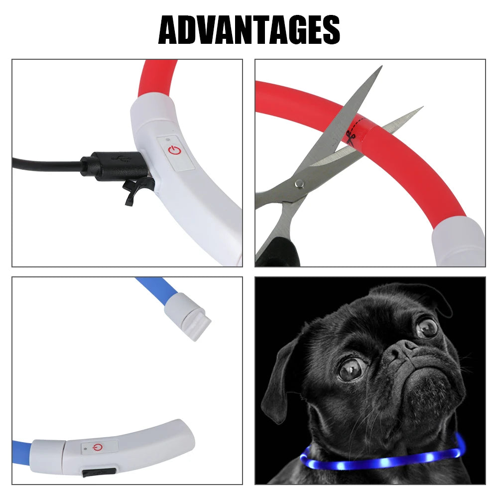 Dog Loss Prevention Led Usb Dog Collar Pet Accessories Night Safety Flashing Glow  Collar Night Luminous Charge Collar