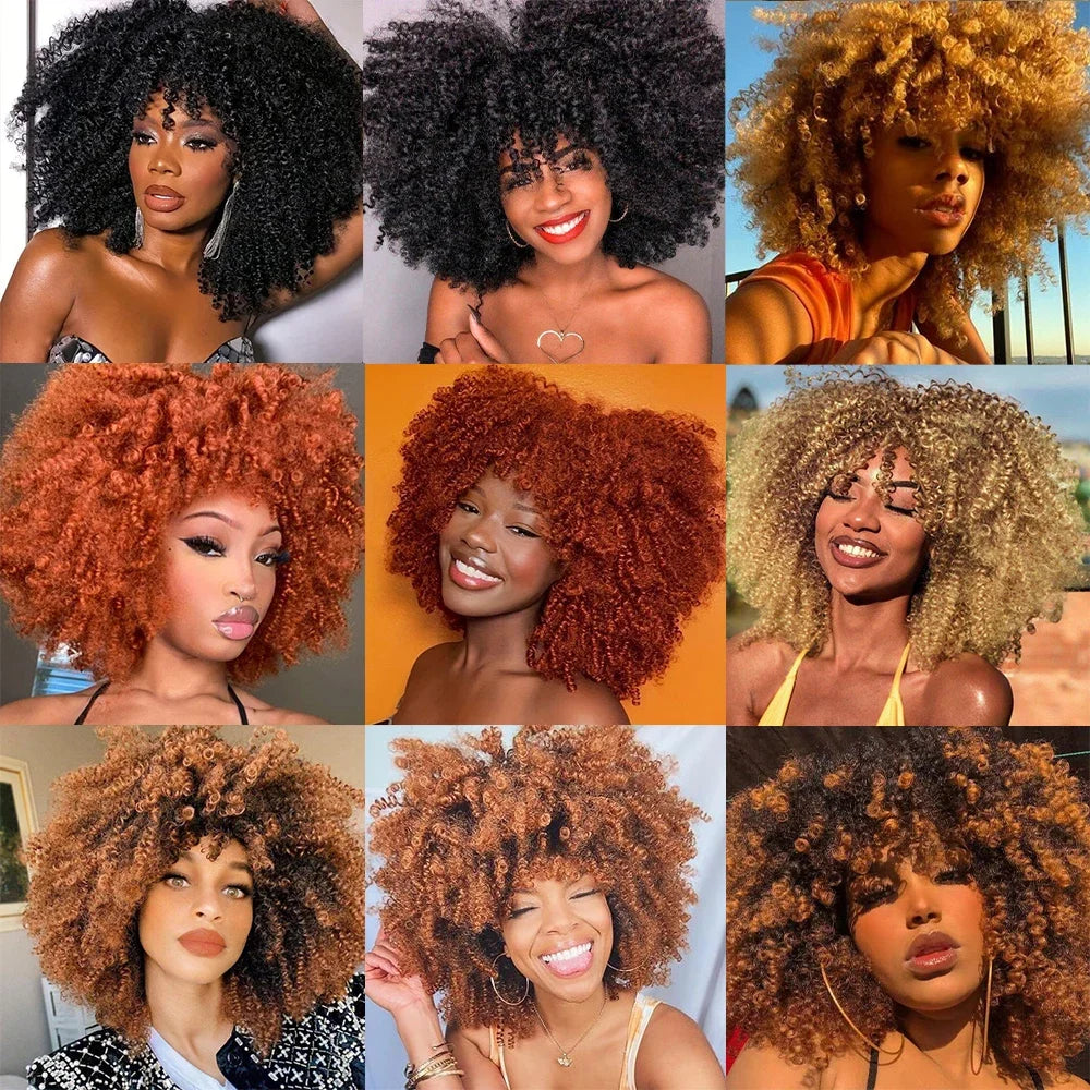 16 Inch Black Brown Natural Looking Synthetic Hair Afro Curly Wig for Black Women Kinky Curly Wig with Bang Short Curly Bob Hair
