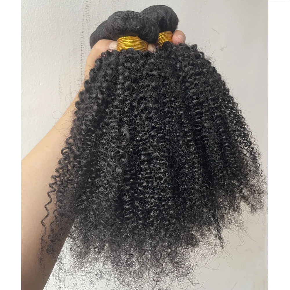 Afro Kinky Curly Human Hair Brazilian Virgin Human Hair Extensions Natural Color Weave 1/3/4 Bundles Double Weft Extensions