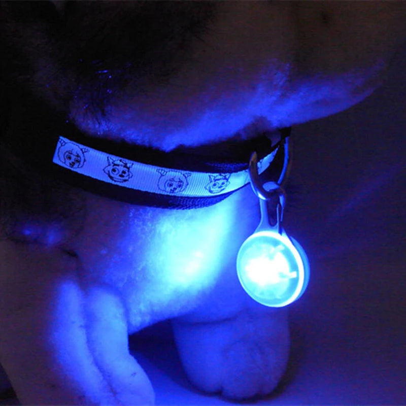 LED Luminous Collar Adjustable Glowing Dog Collar USB Rechargea  Flashing Anti-Lost/Avoid Car Accident Collar Dogs Pet Products