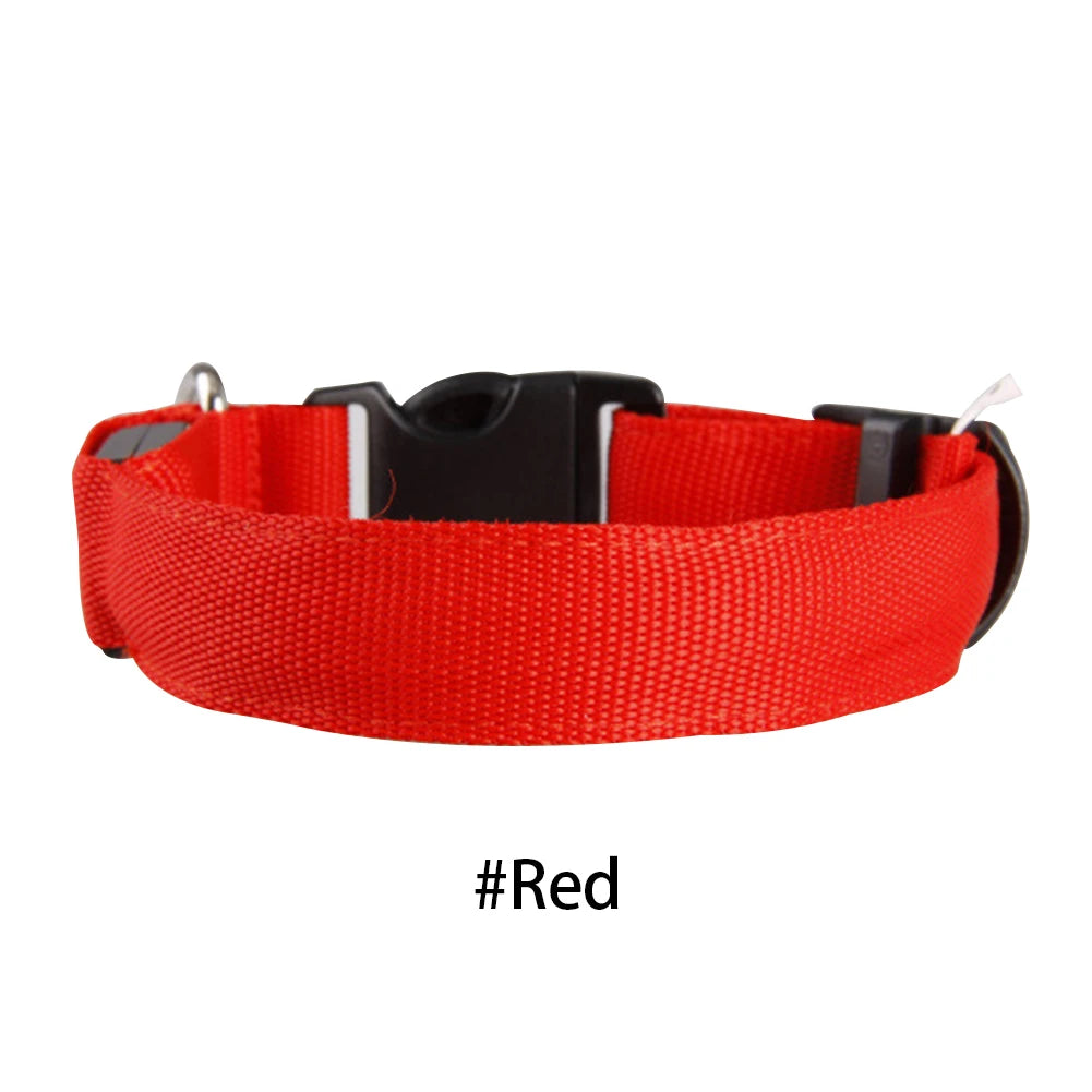 LED Dog Collar Glowing Up Anti-lost Pet Products Night Safety Collars with Batteries Pet Necklace Glow Collar for Small Dogs Cat
