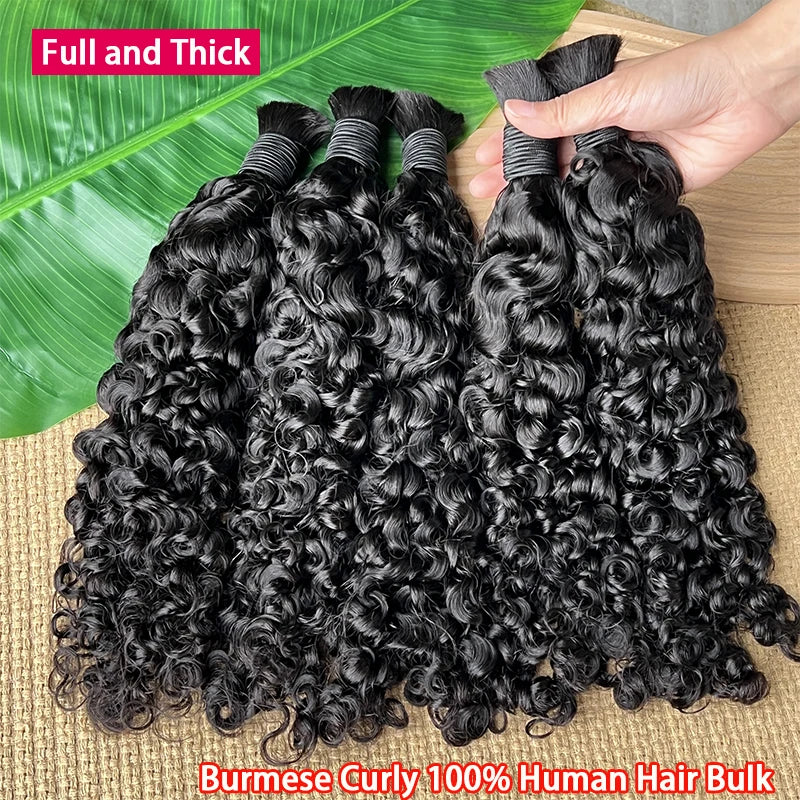 Raw Bulk Human Hair For Braiding Wholesale Burmese Curly Boho Braids Human Hair Extensions No Weft Double Drawn Curly Hair Bulk
