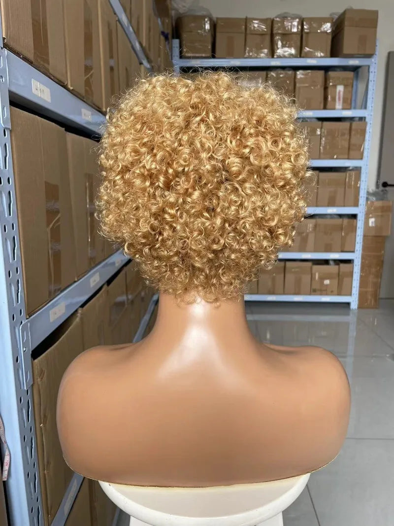 High Quality Afro Kinky Curly Human Hair Full Machine Wigs for Women 180% Density 4inches wigs Natural Color 4# 99j# 30# 27#