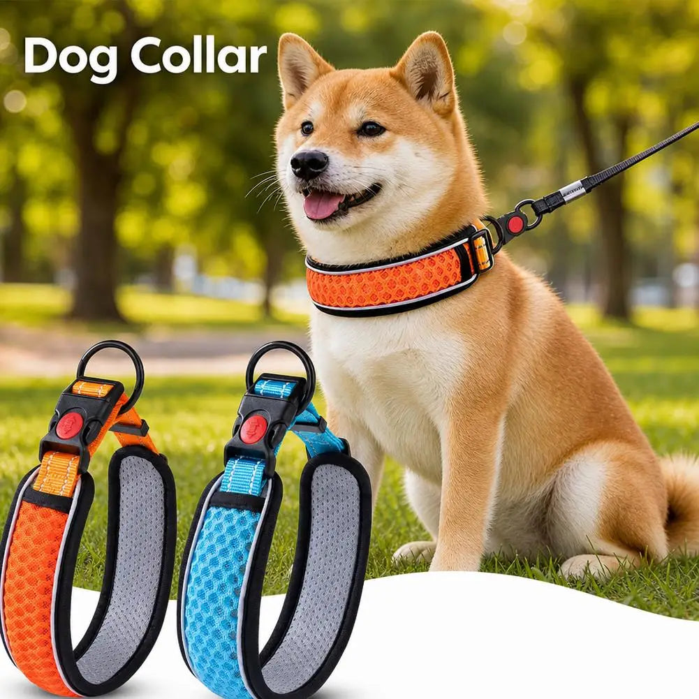 Dog Collar Nylon LED Night Safety Flashing Glow In The Dark Pet Dog Leash pet Dogs Luminous Fluorescent dog accessories collar
