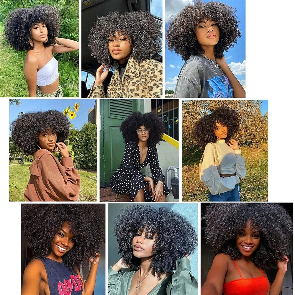 Afro Kinky Curly Human Hair Brazilian Virgin Human Hair Extensions Natural Color Weave 1/3/4 Bundles Double Weft Extensions