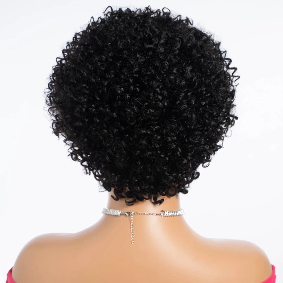 Lekker 100% Human Hair Wigs Long Pixie Cut Afro Kinky Curly Bob For Women Brazilian Remy Hair Full Machine Made Glueless Wigs