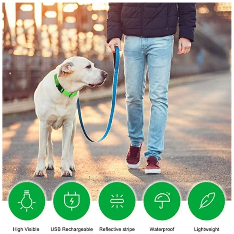LED Glowing Dog Collar Adjustable Flashing Rechargea Luminous Collar Night Anti-Lost Dog Light HarnessFor Small Dog Pet Products