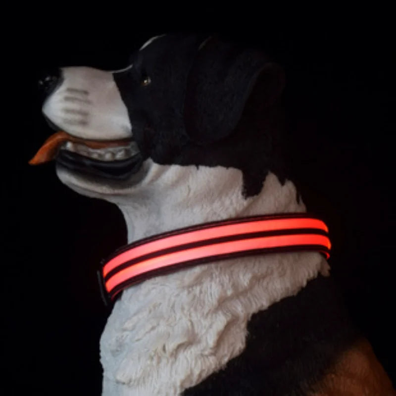 Luminous Dog Collar for Walking, Pet Supplies, Charging Dog Collar, Neck Ring, Colorful Scarf