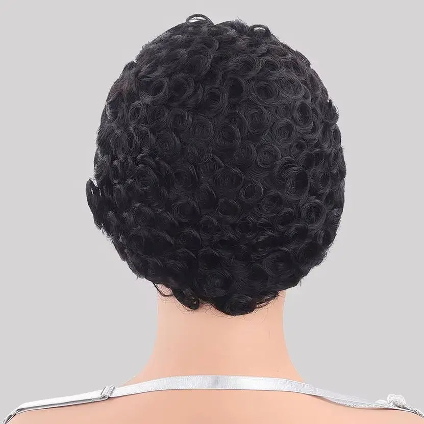 Curly 13x4 HD Lace Front Human Hair Wig 150% Chic Short Pixie Cut Wigs For Women 100% Brazilian Human Hair PrePlucked Daily Wear