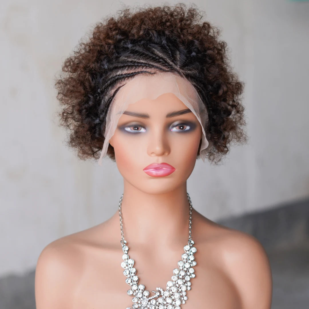 Afro Curly Wigs Colorful Human Hair Wigs with Braids 13×4 Lace Front Wig Remy Human Hair Wig for Women