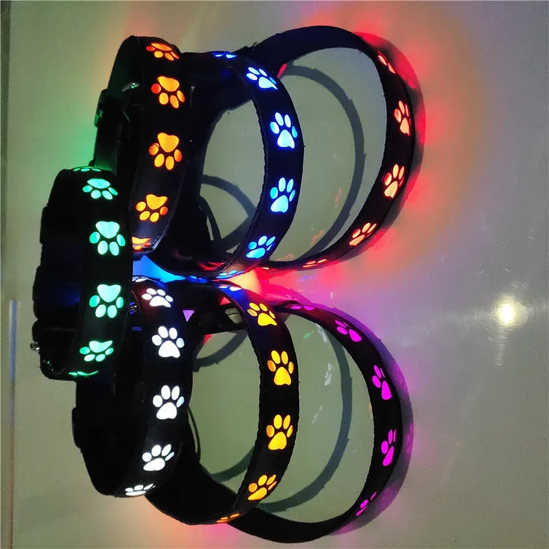 LED Dogs Luminous Collar Paw Pet Dog Walking Dog Collar Tag  Anti-car Accident Anti-lost Light Warning Safety Puppy accessories