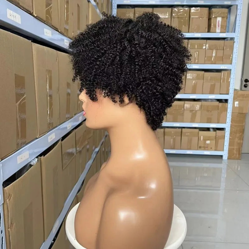 Human Hair Afro Kinky Curly Wig 8inches 180% Density 125g Natural Color Soft Silky Natural Hairline Easy Styling for Women