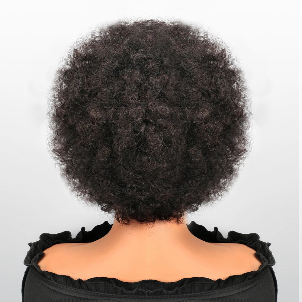 13X4 Afro Kinky Curly Wave Bob Lace Front Braided Wig Brazilian Remy Human Hair Lace Natural Hairline Human Hair Wig