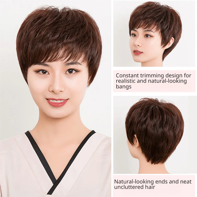 Peluca De Cabello 100% Humano Short Curly Lace Front Human Hair Bob Wig Glueless Ready To Wear Pre Cut for Women Daily Use