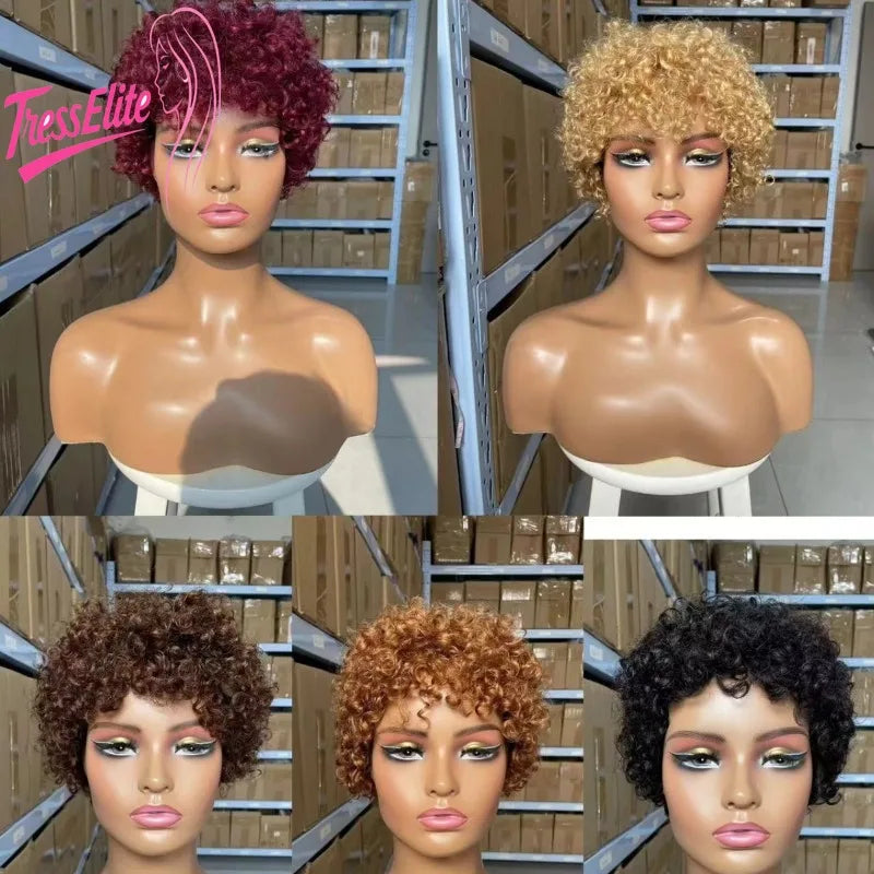 High Quality Afro Kinky Curly Human Hair Full Machine Wigs for Women 180% Density 4inches wigs Natural Color 4# 99j# 30# 27#