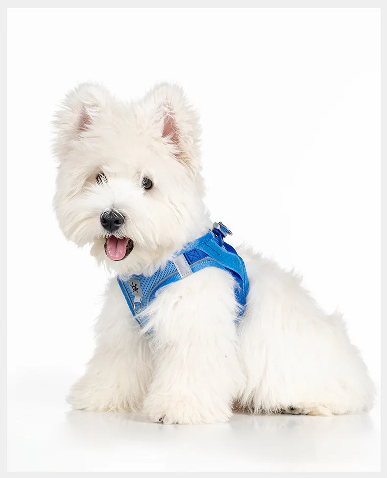 Dog Harness with Mood Patches–Reflective No-Pull Vest, Breathable Air Mesh for Small Dogs Adjustable Soft Padded Walking Lead