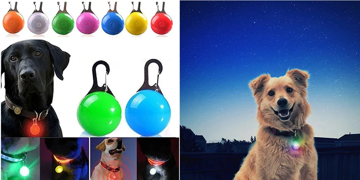 New Adjustable Led Glowing Pet Dog Collar PVC Waterproof  Anti Dirty Easy To Clean for Big Small Dogs Puppy Cat Luminous Collar