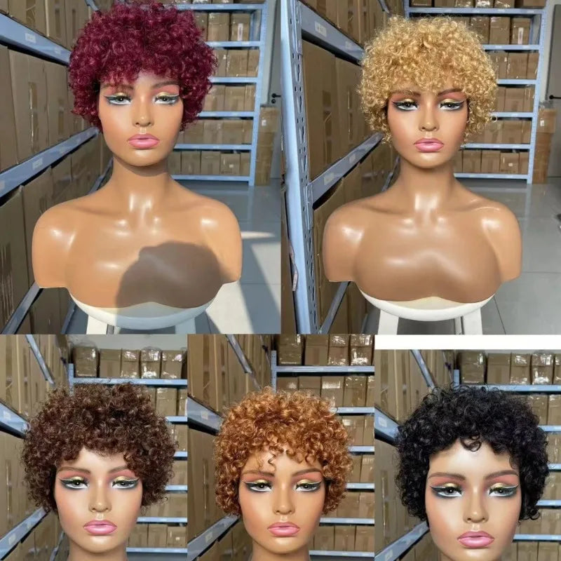 High Quality Afro Kinky Curly Human Hair Full Machine Wigs for Women 180% Density 4inches wigs Natural Color 4# 99j# 30# 27#