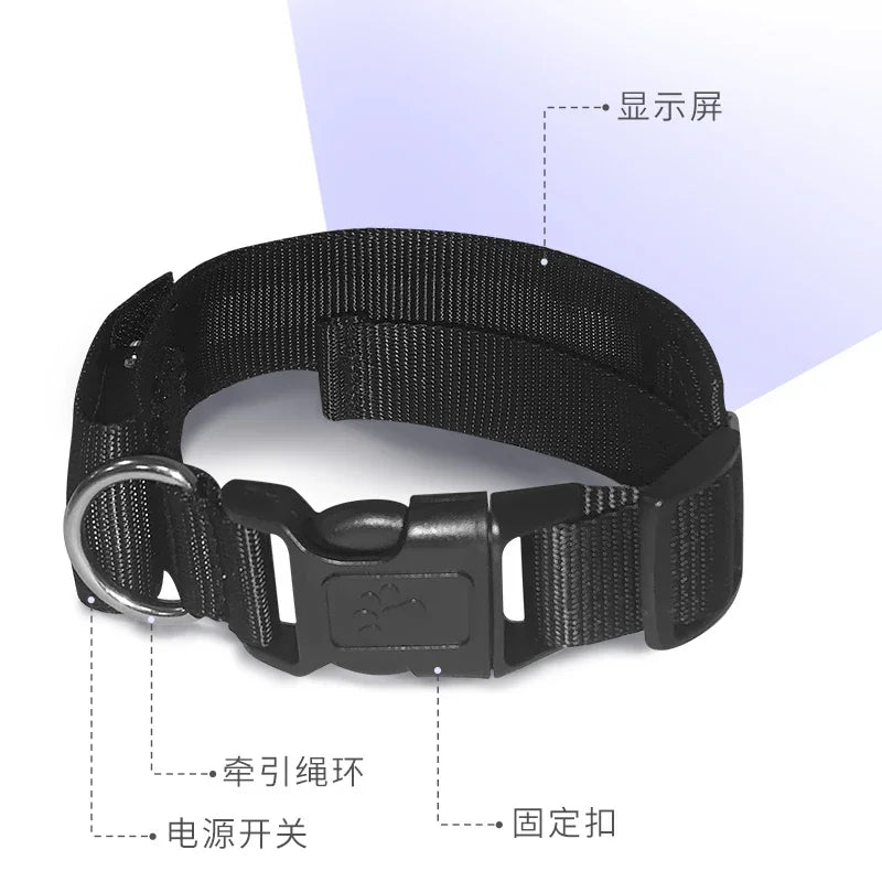 LED Light UP Dog Collar Bluetooth APP Programmable Message Scrolling LED Display Screen Pet Accessories Collar