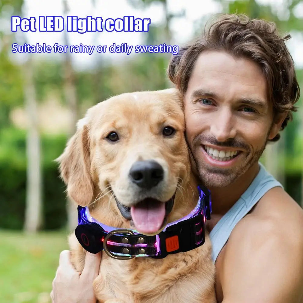 Dog Led Light Up Collar Rechargeable Waterproof Glowing Adjustable Dog Collar Weather Proof Dog Lights For Night Walking