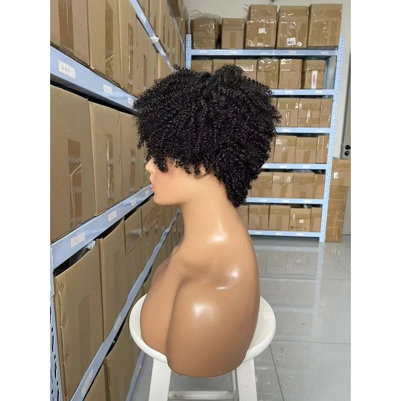 Human Hair Afro Kinky Curly Wig 8inches 180% Density 125g Natural Color Soft Silky Natural Hairline Easy Styling for Women