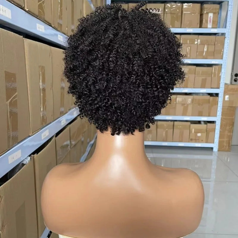 Human Hair Afro Kinky Curly Wig 8inches 180% Density 125g Natural Color Soft Silky Natural Hairline Easy Styling for Women