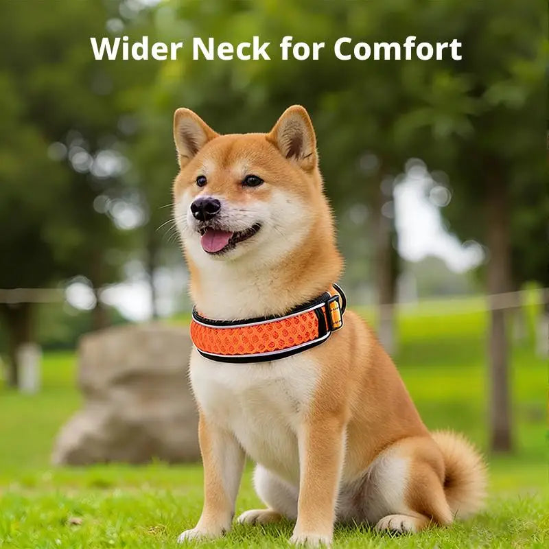 Dog Collar Nylon LED Night Safety Flashing Glow In The Dark Pet Dog Leash pet Dogs Luminous Fluorescent dog accessories collar