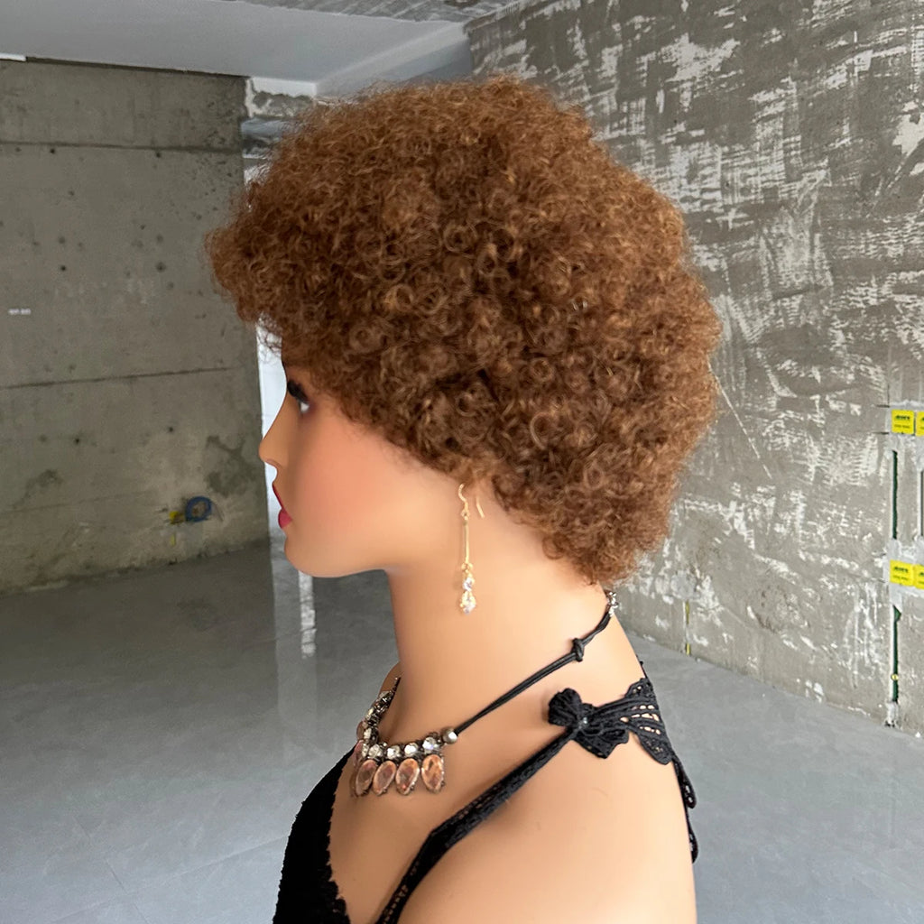 Short Afro Curly Wave Brazilian Human Hair Wigs Afro Puff Kinky Curly Wig For Women Black Brown Red Color Full Machine Wig