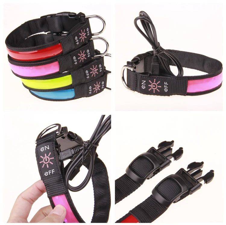 Pinkycolor USB Charging LED Dog Collar Luminous Light Night Safety Reflective Leather Glowing Collar For Dogs Pets Rechargeable