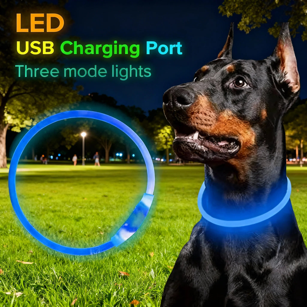 Pet Dog LED Light Collar Luminous Anti-Lost Dog Collar USB Rechargeable Dog Necklace Adjustable Collar Pet Safety Supplies