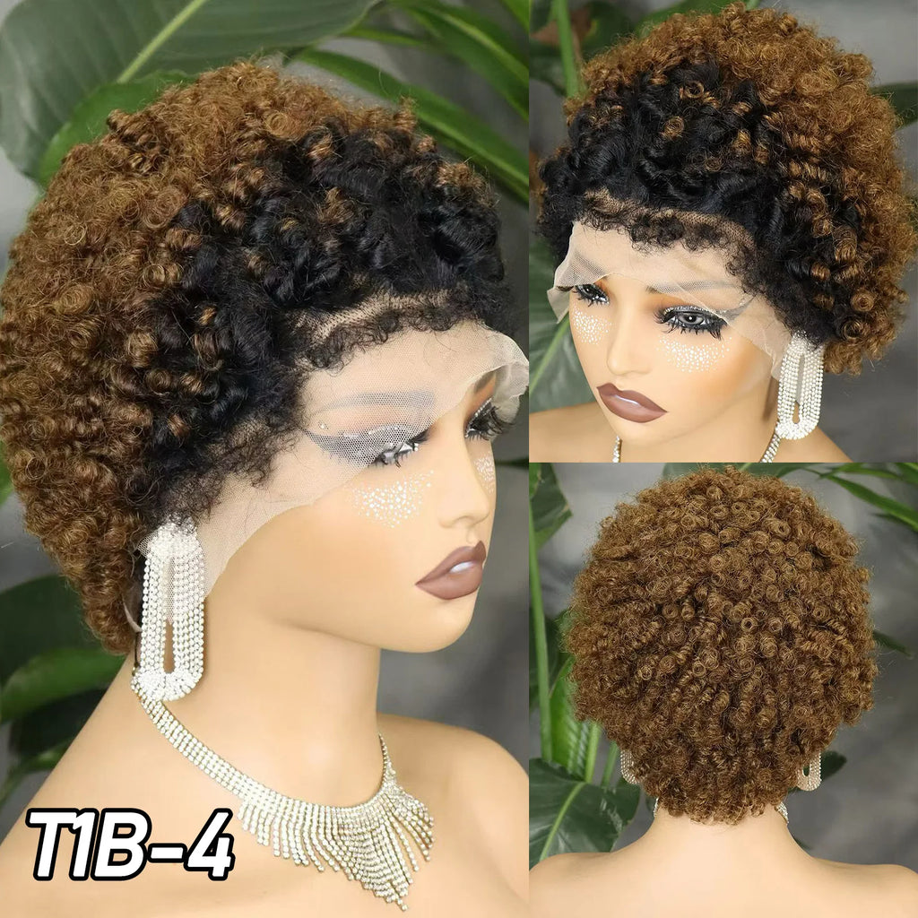 New Arrival 4C Hairline Edges Afro Kinky Curly Human Hair Wig 13x4 Transparent Lace Frontal Short Curly Hair Wig for Black Women