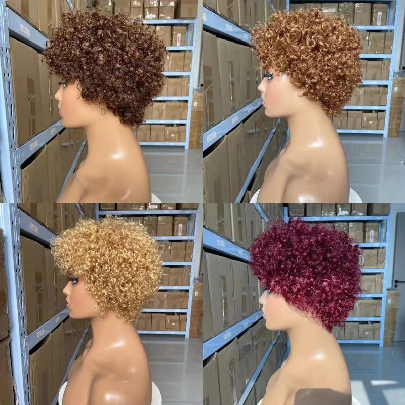 High Quality Afro Kinky Curly Human Hair Full Machine Wigs for Women 180% Density 4inches wigs Natural Color 4# 99j# 30# 27#