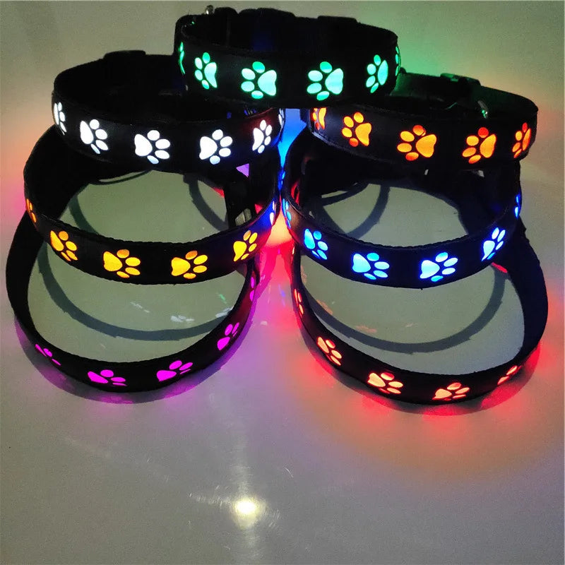 Luminous Dog Collar for Walking, Pet Supplies, Charging Dog Collar, Neck Ring, Colorful Scarf