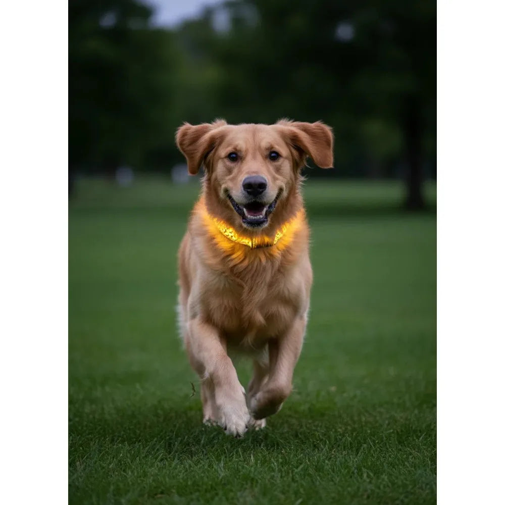 LED Dog Luminous Collar with Night Time USB Charging Anti Slip Warning Leopard Print Four Flashing Modes Collar for Dog Necklace