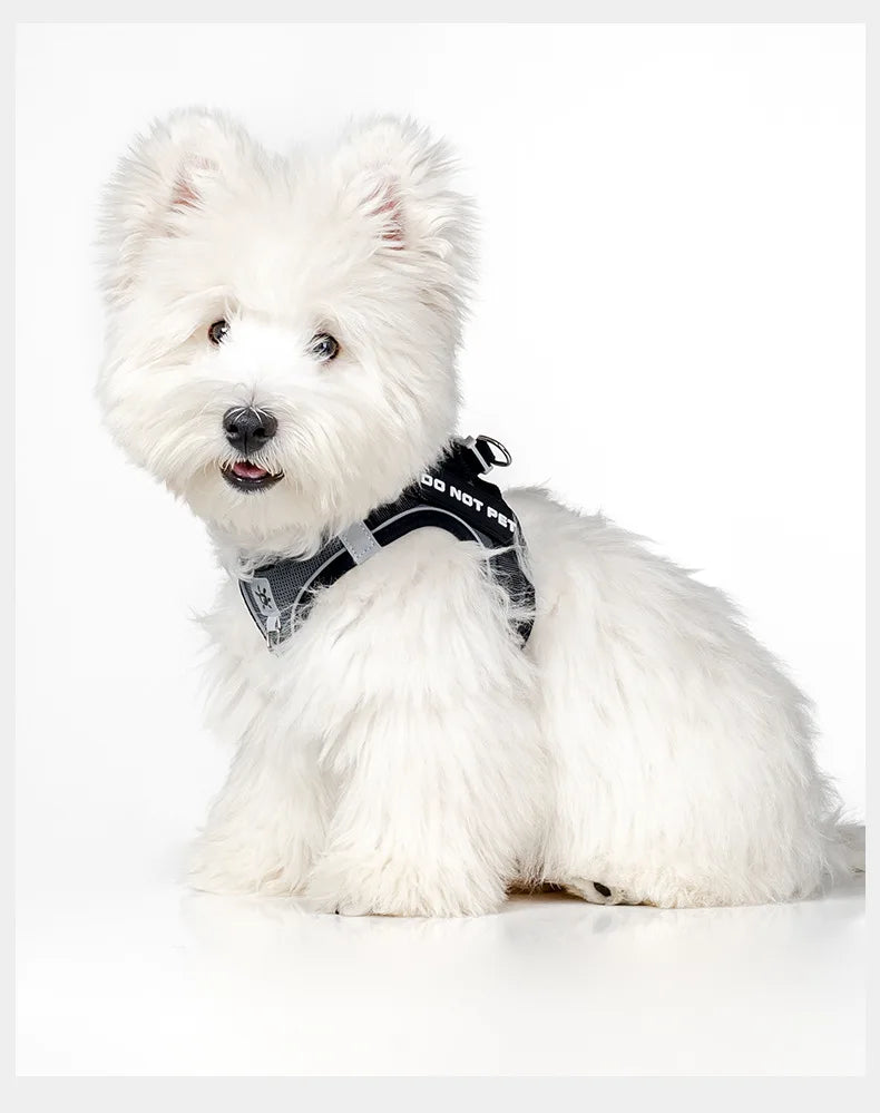 Dog Harness with Mood Patches–Reflective No-Pull Vest, Breathable Air Mesh for Small Dogs Adjustable Soft Padded Walking Lead