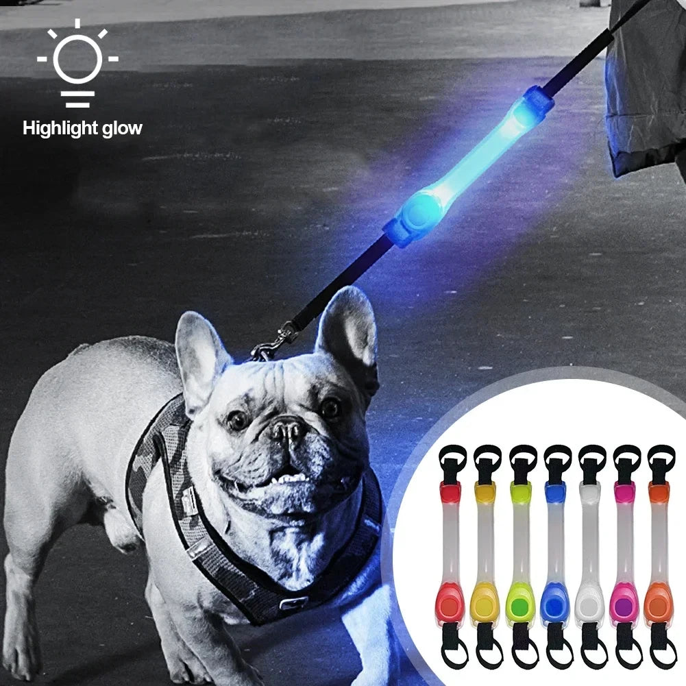 Night running pet dog safety harness collar for preventing loss. Multi-color pendant. Waterproof outdoor warning LED flashing li