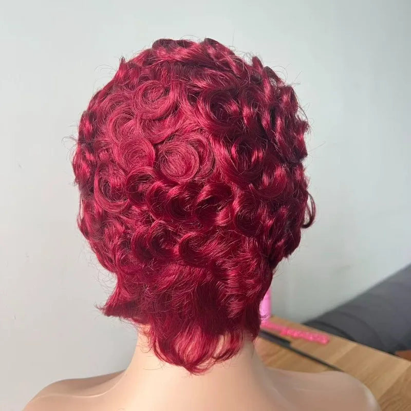 High Quality 13x4 Lace Front Curly Natural Color/#99j Human Hair Wig Brazilian Virgin Remy 180% Density Suitable for Daily Wear